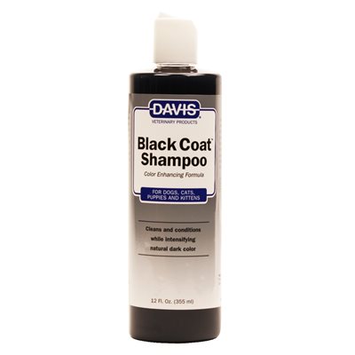 Black Coat Shampoo, 12 oz.