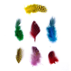 Feathers - Guinea Assorted