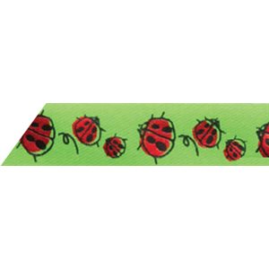 Ribbon / Red Ladybugs on Lime - 50 Yards